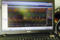 Track support (5)